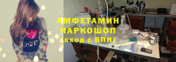 мет Алексин