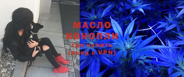 мет Алексин