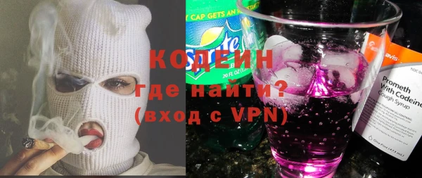 мет Алексин