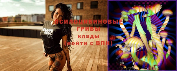 PSILOCYBIN Алексеевка