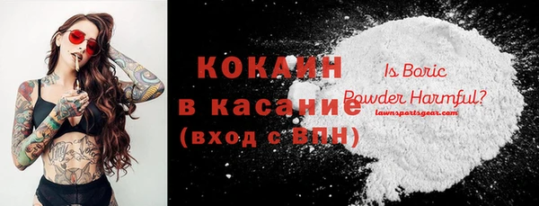 гашик Алзамай