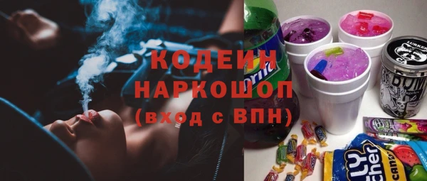 гашик Алзамай